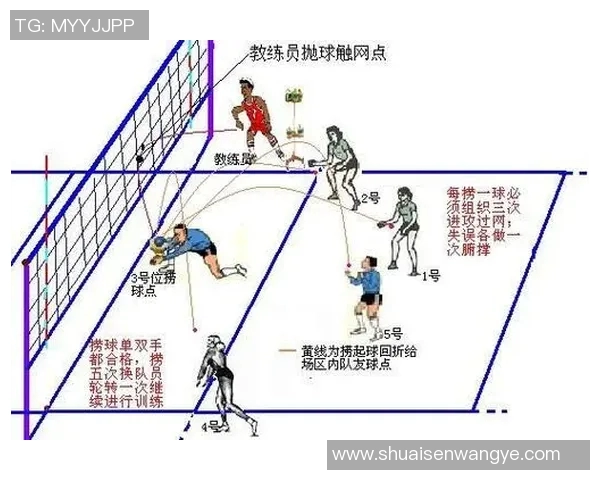 从零基础到高手之路排球灵活性全面提升指南 从零基础到高手之路排球灵活性全面提升指南