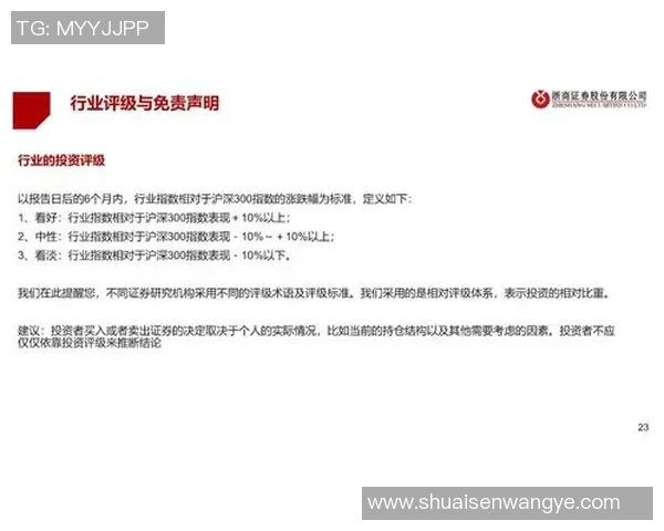 南京羽毛球队战术解析与对比探讨揭示胜负关键因素